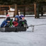 Brother & Sister Playing With Toys