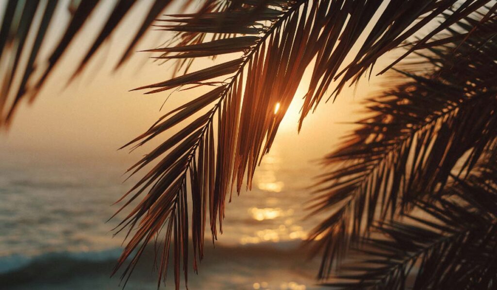 Best Place For Seeing Nature