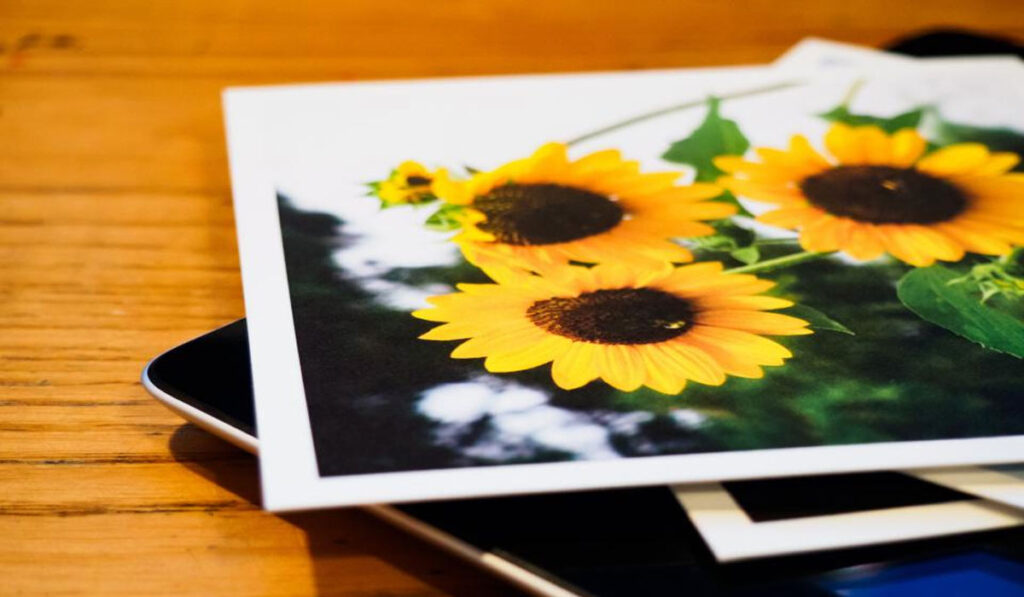 All Should Know About Network