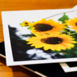 All Should Know About Network